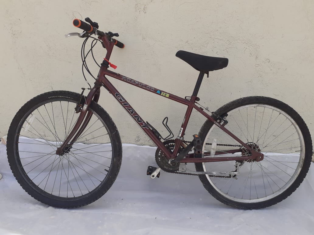 1998 Giant Bike For Boys